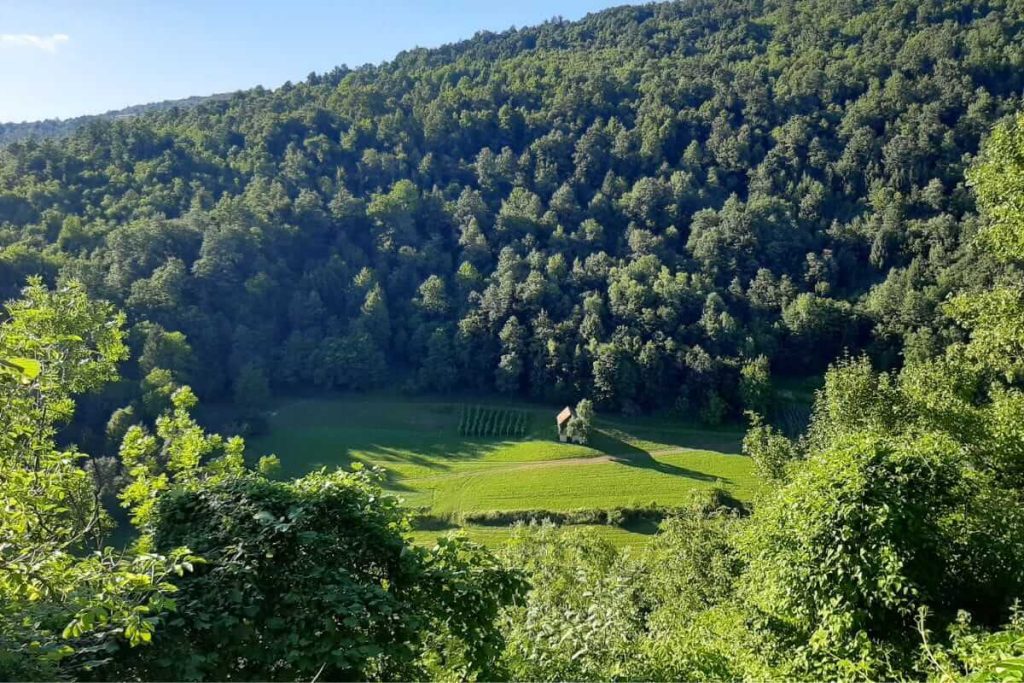 Zeleni krajolik Gorskog kotara s livadom i šumovitim brdima, idealan za vikend u prirodi
