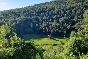 Vikend u Gorskom kotaru: vodič za savršen bijeg u prirodu