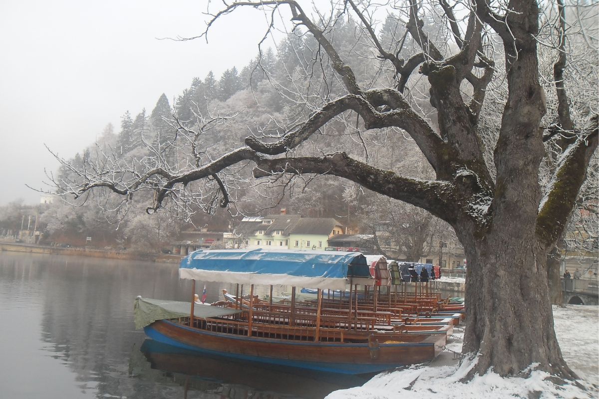 Drveni čamci na jezeru Bled zimi u Bledu, Slovenija