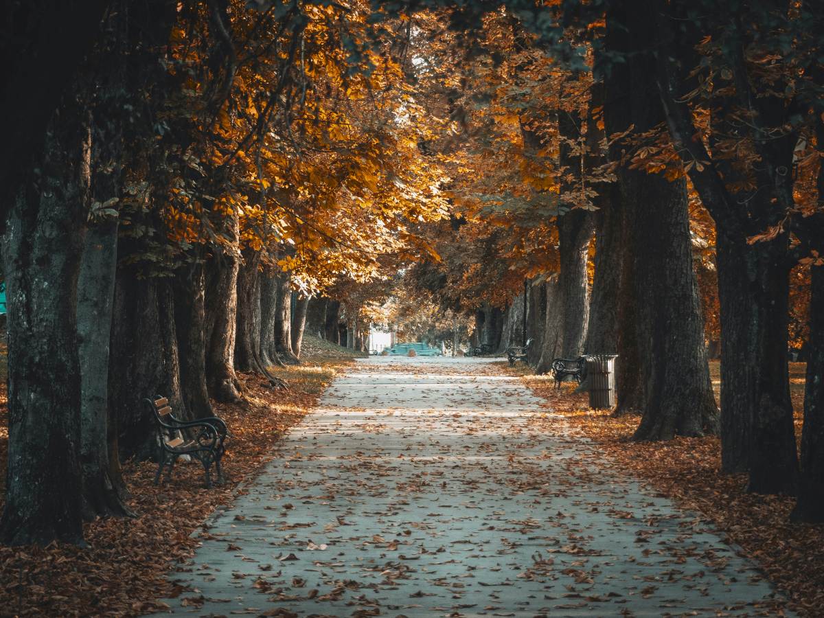 Jesenska cesta kroz Baranju
